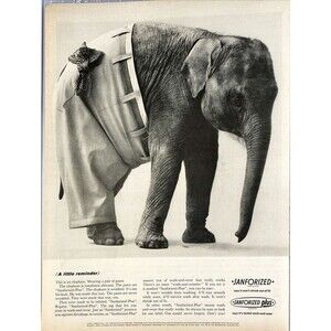Sanforized Plus Pants Wrinkled Elephant wears unwrinkled pants Vtg Print Ad 1963